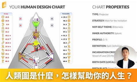 人類圖分析網站|人類圖報告書